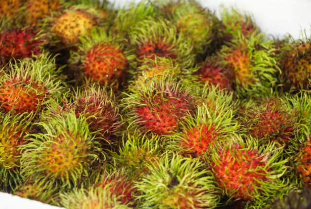 rambutan-fruta