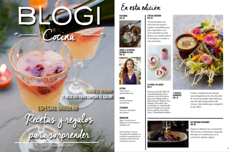 blogi-revista