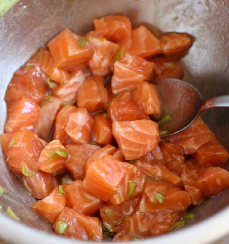 salmon marinado